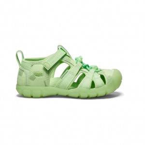 Keen Seacamp II CNX x namuk Çocuk Sandalet Yeşil | TWX5543XB